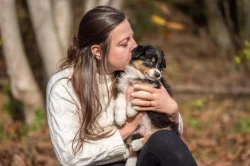 Štěně austalského ovčáka s PP