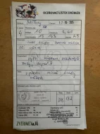 Vlaška koroptví - násadová vejce