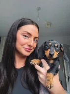 Jezevčík hladkosrstý trpasličí - fenky k odběru