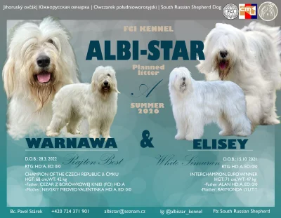 Jihoruský ovčák s PP