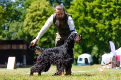 Gordonsetr s PP, setr