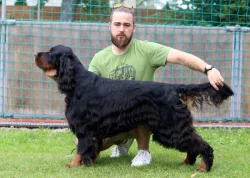 Gordonsetr s PP, setr