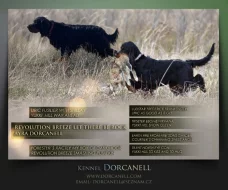 Gordonsetr s PP, setr