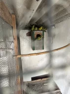 Alexandři, papoušci, rozely