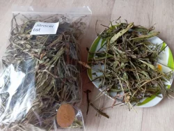 sušené bylinky list