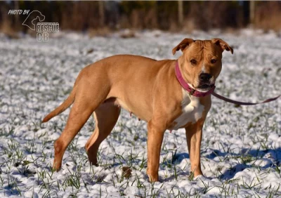 Darujeme opuštěnou Judy