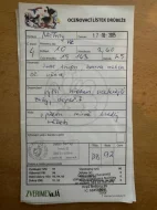 Vlaška koroptví - týdenní kuřata