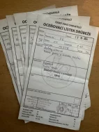 Vlaška koroptví - týdenní kuřata