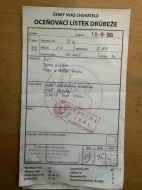 Vlaška koroptví - týdenní kuřata