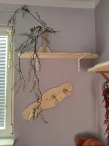 Daruji roční kočku