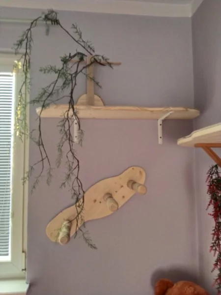 Daruji roční kočku