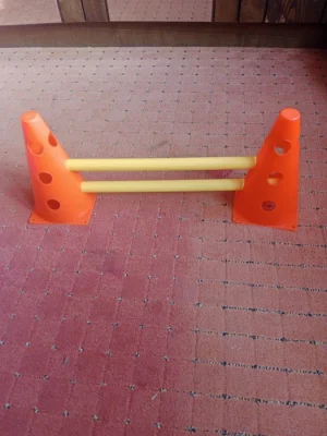 Králíček s vybavením