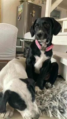 Pouze do dobrých rukou