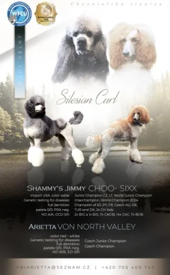 PUDL VELKÝ štěňátka s PP