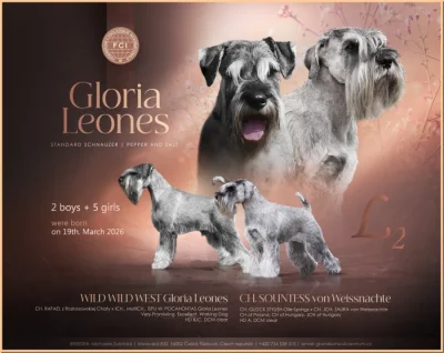 Knírač střední pepř a sůl