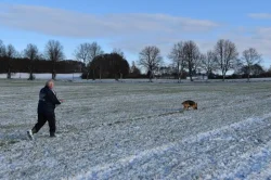 Supr štěńata něm.ovčáka