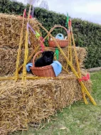 NĚMECKÝ OVČÁK - ŠTĚŇÁTKA S (PP) RODOKMENEM - FCI