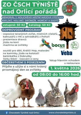 Výstava Týniště nad Orlicí