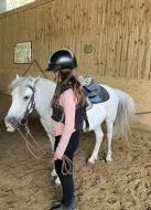 Sháním pronájem koně