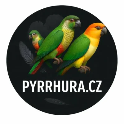 Pyrrhura.CZ – papoušci Jižní Ameriky: