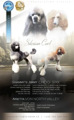 PUDL KRÁLOVSKÝ / VELKÝ štěňátka s PP