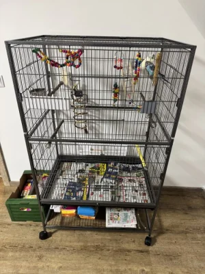 Pár andulek + vybavená velká klec