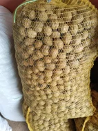 Vlašské a lískové ořechy neloupané