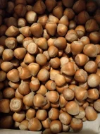 Vlašské a lískové ořechy neloupané