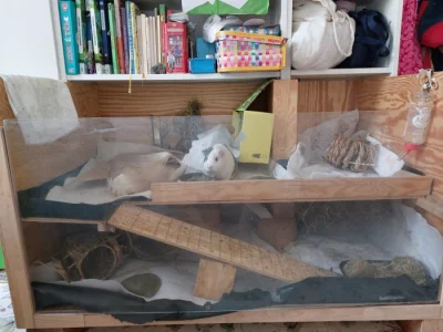 Kotec a klec pro morčata (případně jiného hlodavce)