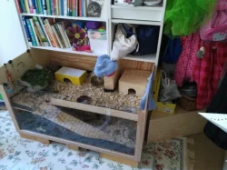 Kotec a klec pro morčata (případně jiného hlodavce)