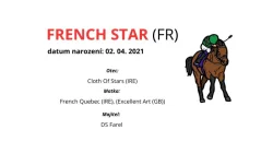 Valach, 5 let – hledá svůj stálý domov