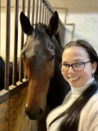 Valach, 5 let – hledá svůj stálý domov