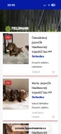 Jezevčík hladkosrstý trpasličí