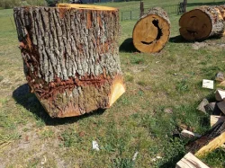 Palivové dřevo ,kmeny pro kutily i řezbáře.