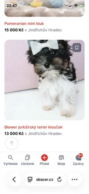 Množírna Jindřichův Hradec