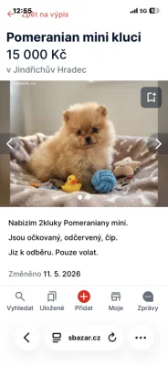 Pomeranian Množírna