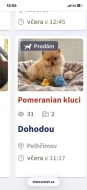 Pomeranian Množírna