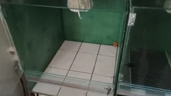 Prodám 2x terárium š - 45, h - 55, v - 51 cm
