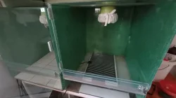 Prodám 2x terárium š - 45, h - 55, v - 51 cm