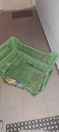 Syrský křeček s výbavou