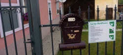 🦆 Prodej KACHŇAT 🦆