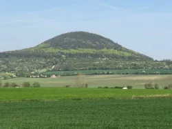 Seč travní porost/vojtěška 70/30