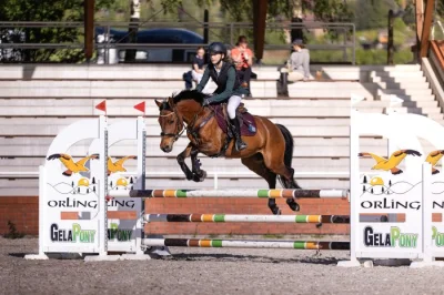 Sportovní pony B