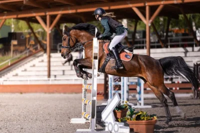 Sportovní pony B