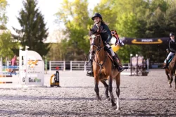 Sportovní pony B