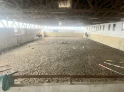 Nabídka ustájení Velký Chlumec okres Beroun