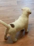 Jack Russell Terrier s PP.