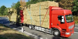 Přeprava, dovoz, vývoz a dodávka sena pro vaše koně