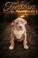 AMERICAN BULLY