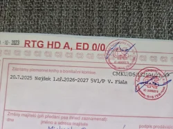 Štěně - německý ovčák s PP - 4x vlkošedý, 3x černý